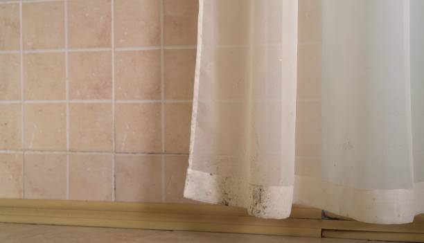Best Air Quality Testing for Mold Spores  in Belleair Beach, FL