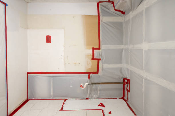 Best Indoor Air Quality Assessment  in Belleair Beach, FL