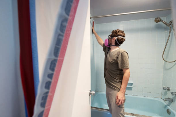 Best Basement Mold Removal  in Belleair Beach, FL