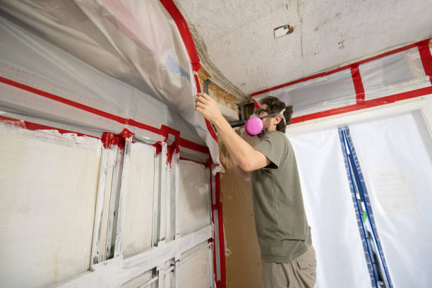 Best Real Estate Mold Inspection  in Belleair Beach, FL