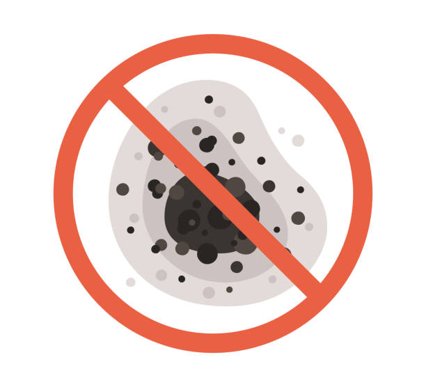 Mold Odor Removal Services in Belleair Beach, FL