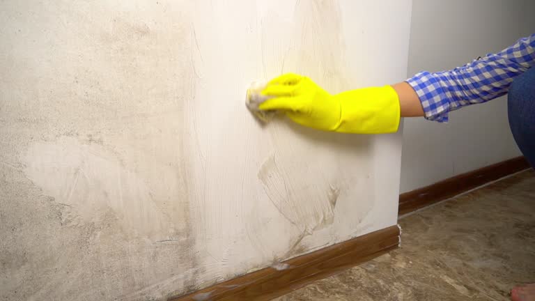 Best Residential Mold Inspection & Testing  in Belleair Beach, FL